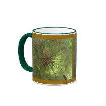 Seed Pod Mugs