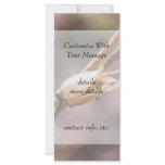 Seed Pod - Nicotiana Customized Rack Card