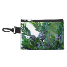 Seed pod on stem of bush accessories bag