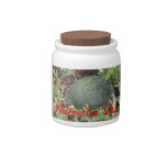 Seed Saver's Jar, Watermelon Seeds Candy Dish