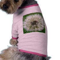 Seeding Dandelion pet clothing