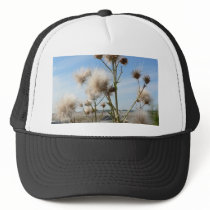 Seeding Plant hats