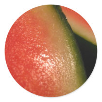 seedless watermelon stickers by pinkypetals seedless watermelon stickers