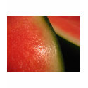 seedless watermelon t-shirts