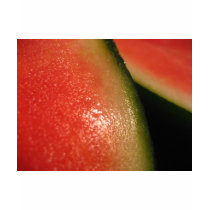 seedless watermelon t-shirts