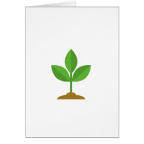 SEEDLING CARD