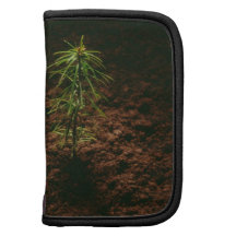 Seedling Organizer
