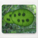 Seedpod Mousepad