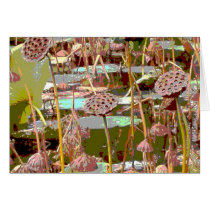 seedpods cards