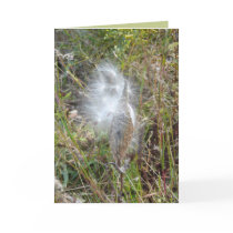 Seeds Fly cards by MoiraAshleigh Seeds Fly cards