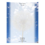 Seeds of a Dream Letterhead