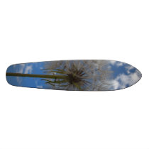 Seeds of a Dream Skateboard
