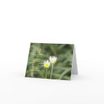 Seeds of joy note cards
