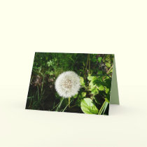Seeds Ready to Fly cards by MoiraAshleigh Seeds Ready to Fly cards