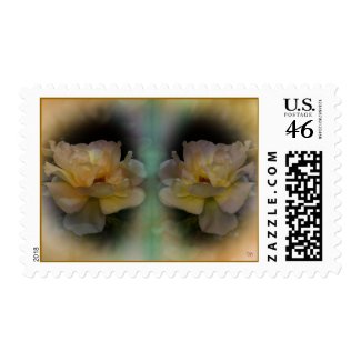 Seeing Double Postage