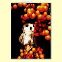 Seeing Orange cards by Heartworks Seeing Orange cards