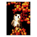 Seeing Orange cards