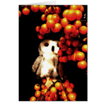 Seeing Orange cards by Heartworks Seeing Orange cards