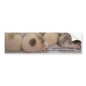 Seeing spots bumpersticker by hedgehogworld Seeing spots bumpersticker