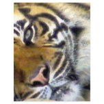 Seeing You_ letterhead