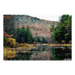 Seek & Find Photography Print