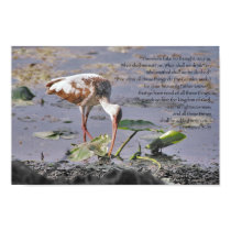 Seek ye first the kingdom of God Scripture posters