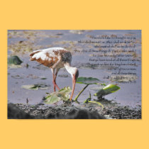 Seek ye first the kingdom of God Scripture posters