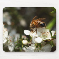 'Seek & You Will Find' mousepads