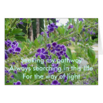 Seeking My Pathway cards