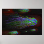 Seeking poster