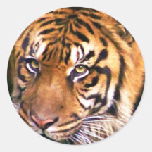 Seeking_Sticker_by Elenne