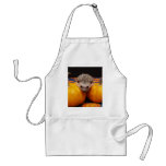Seeking the Great Pumpkin Aprons