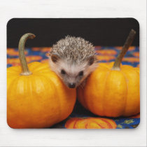 Seeking the Great Pumpkin mousepads