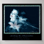 Seeking the Illumination Posters