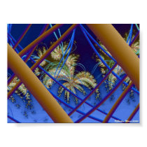 Seen from a Sky Light posters