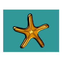 seestern starfish post cards