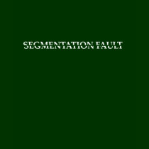Segmentation Fault (Ladies) t-shirts