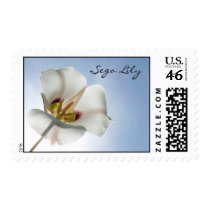 Sego Lily Postage Stamps