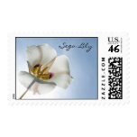 Sego Lily Postage Stamps