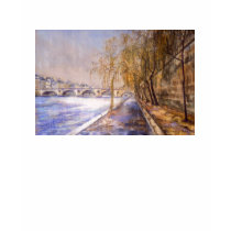 Seine in the Rain t-shirts