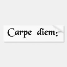 Seize the day. bumper sticker