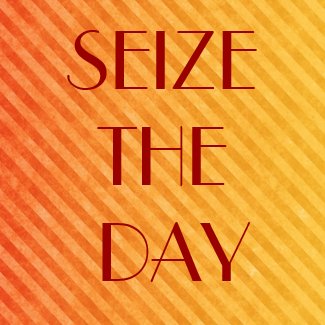 SEIZE THE DAY magnet