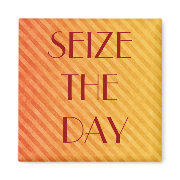 SEIZE THE DAY magnet
