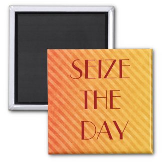 SEIZE THE DAY magnet