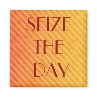 SEIZE THE DAY magnet