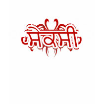 Seksy in Punjabi t-shirts