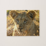Selati Lion Cub Puzzle
