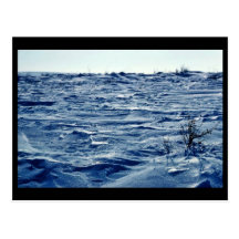 Selawik Refuge in Winter Post Cards