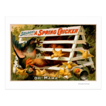 Selden's Funny Farce, A Spring Chicken Play 2 Post Cards