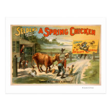 Selden's Funny Farce, A Spring Chicken Play Postcard